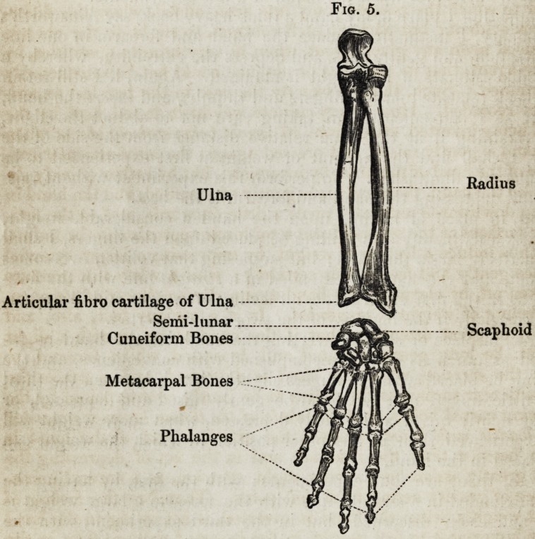 An Experimental Inquiry into the Existence of a Sixth Sense, Here Called the Sense of Force.