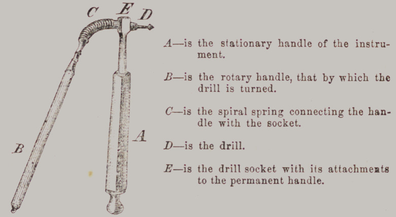 Merry's Drill Stock.