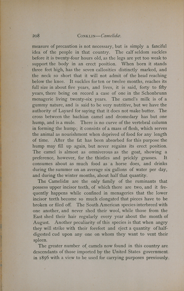 Observations on the Camelidæ.