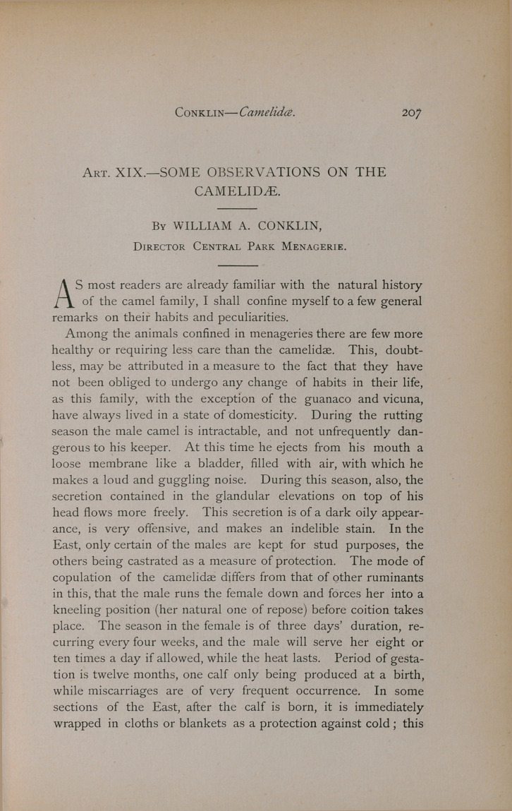 Observations on the Camelidæ.