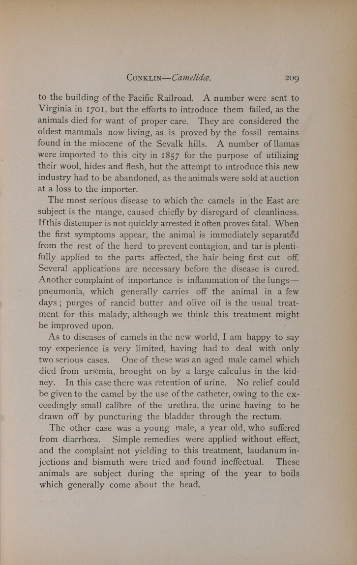 Observations on the Camelidæ.