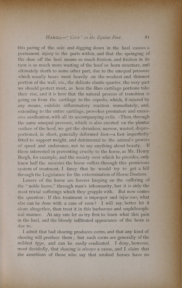 On the Affection Commonly Termed "Corn" in the Equine Foot.