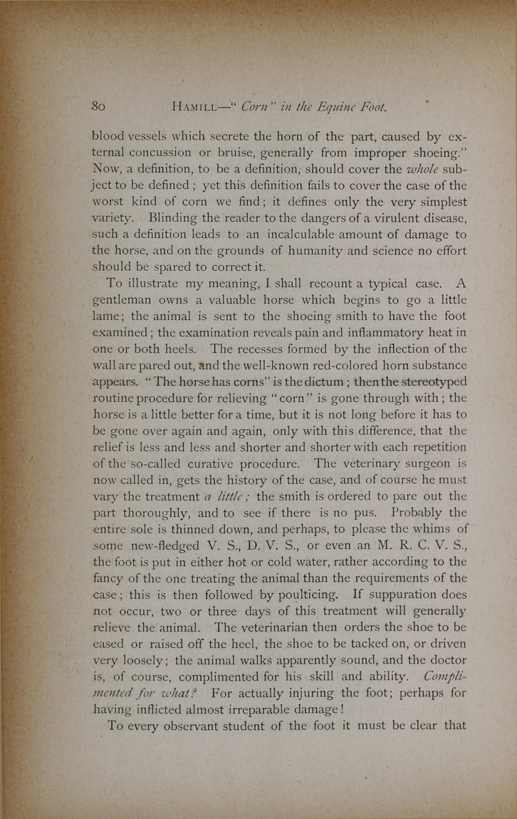 On the Affection Commonly Termed "Corn" in the Equine Foot.