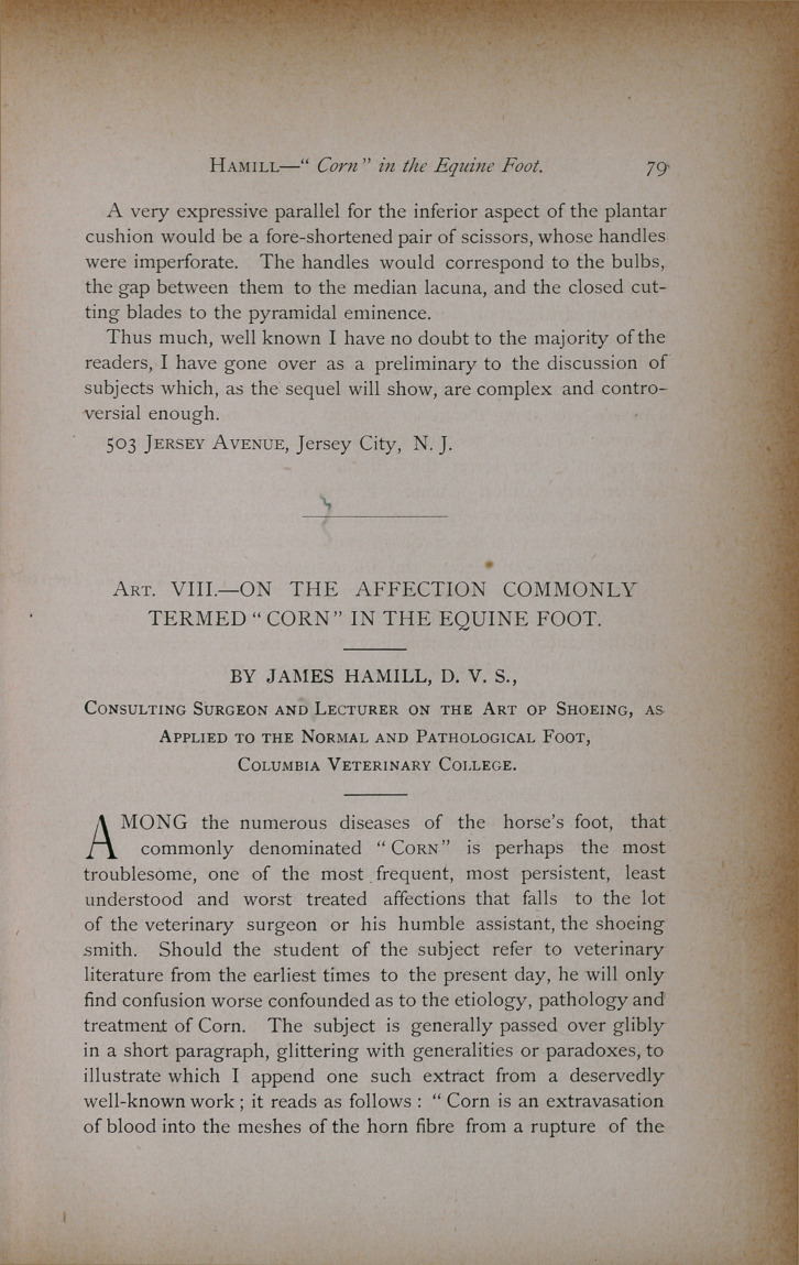 On the Affection Commonly Termed "Corn" in the Equine Foot.