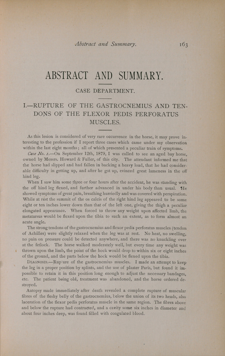 Rupture of the Gastrocnemius, &c.