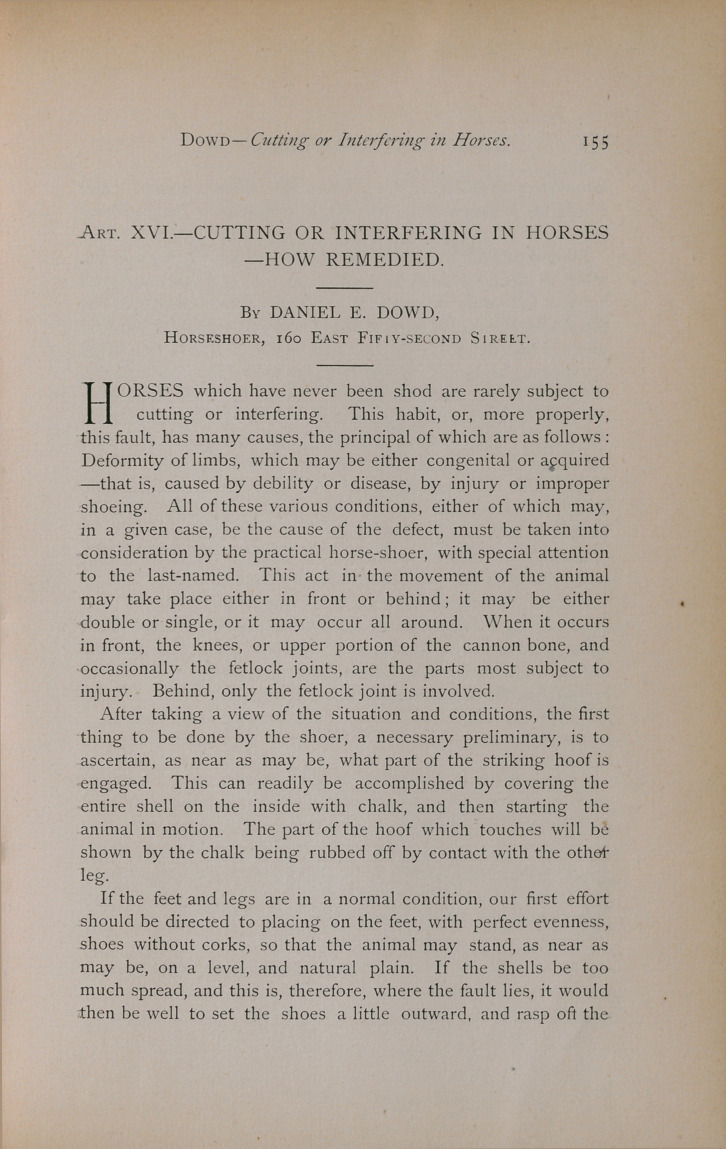 Cutting and Interfering in Horses.