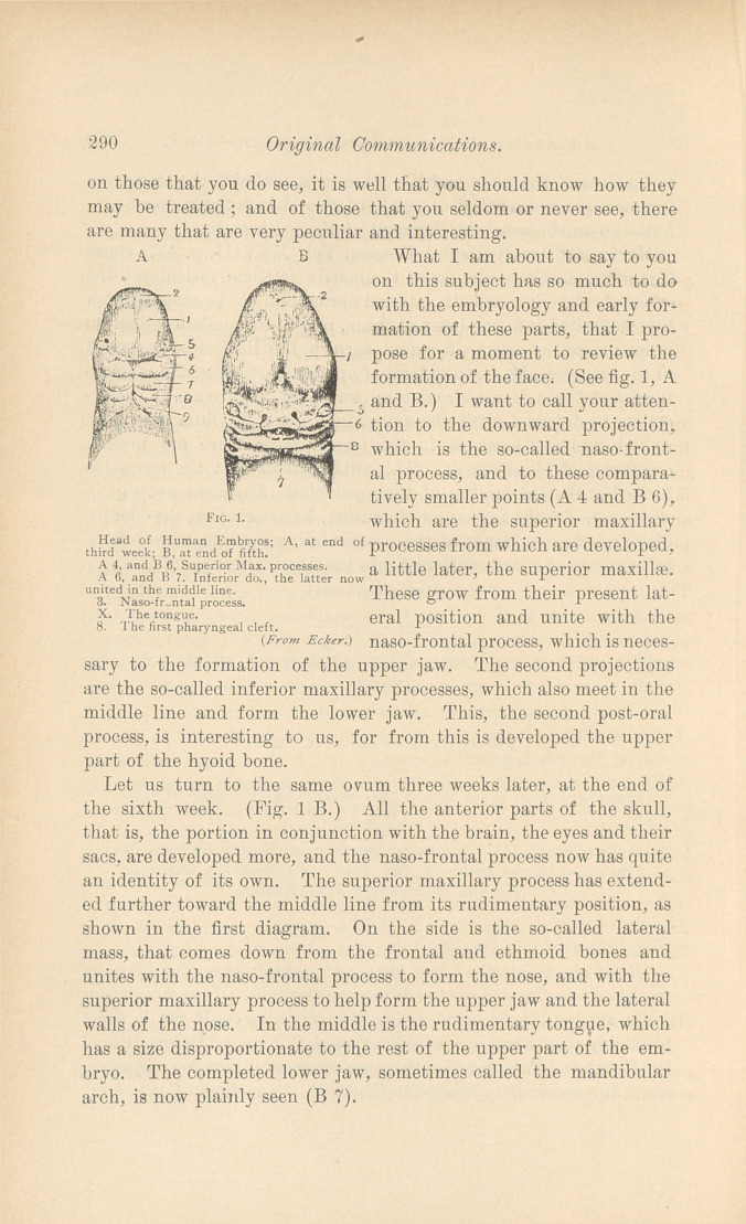 An Address on Congenital Deformities of the Mouth and Face.