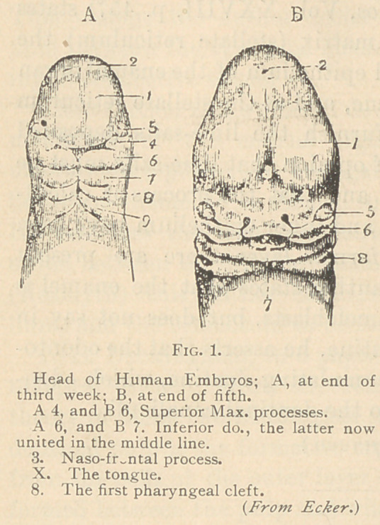 An Address on Congenital Deformities of the Mouth and Face.