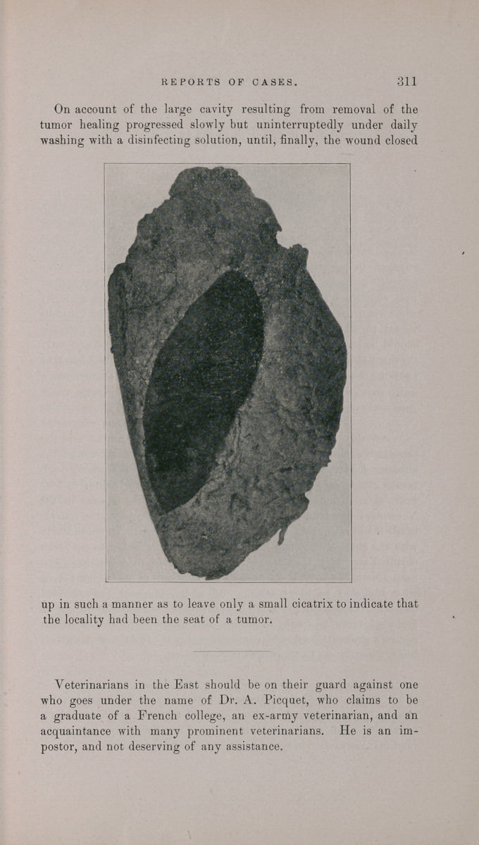 Lipoma of a Horse.