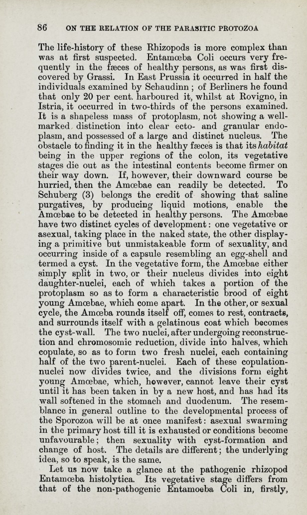 On the Relation of the Parasitic Protozoa to Each Other and to Human Disease.