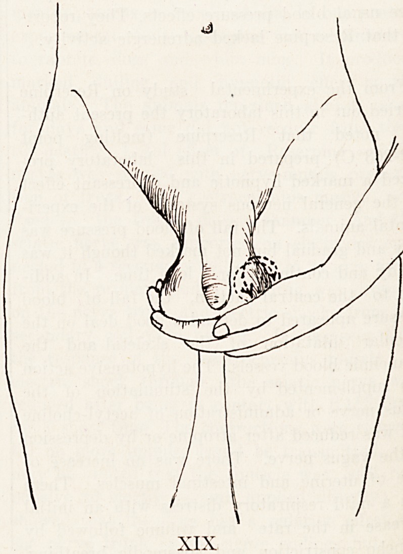 A System of Automassage.
