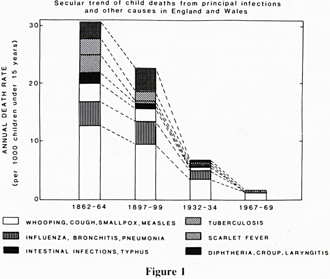 Mutation, malformation and malignancy. The 1987 Long Fox lecture.