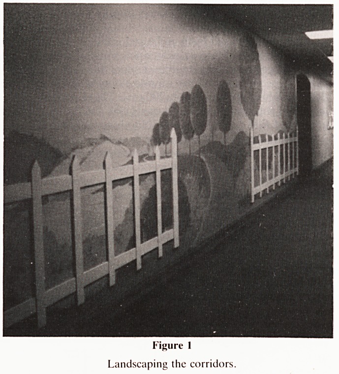 An arts co-ordinator in a psychiatric hospital.