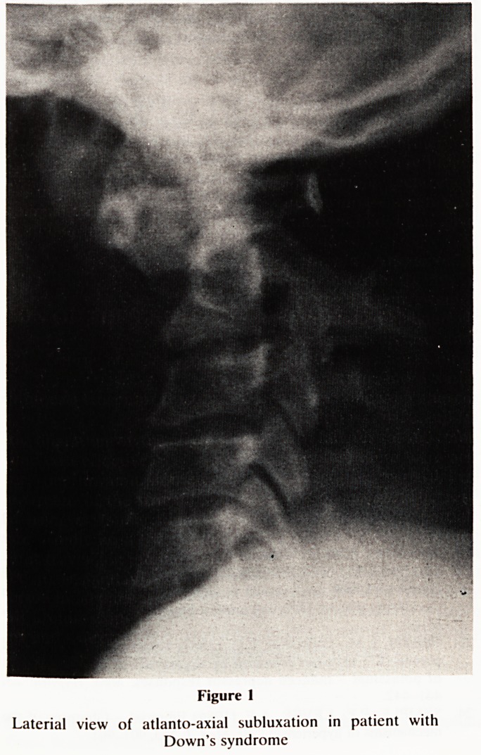 Abstract Image