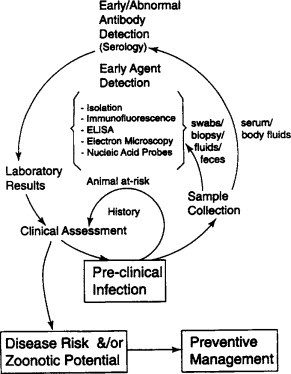 Diagnostic medicine: the challenge of differentiating infection from disease and making sense for the veterinary clinician.