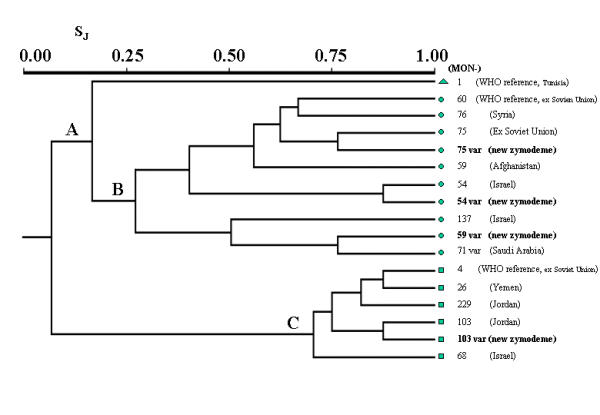 Leishmania species and zymodemes isolated from endemic areas of cutaneous leishmaniasis in Jordan.