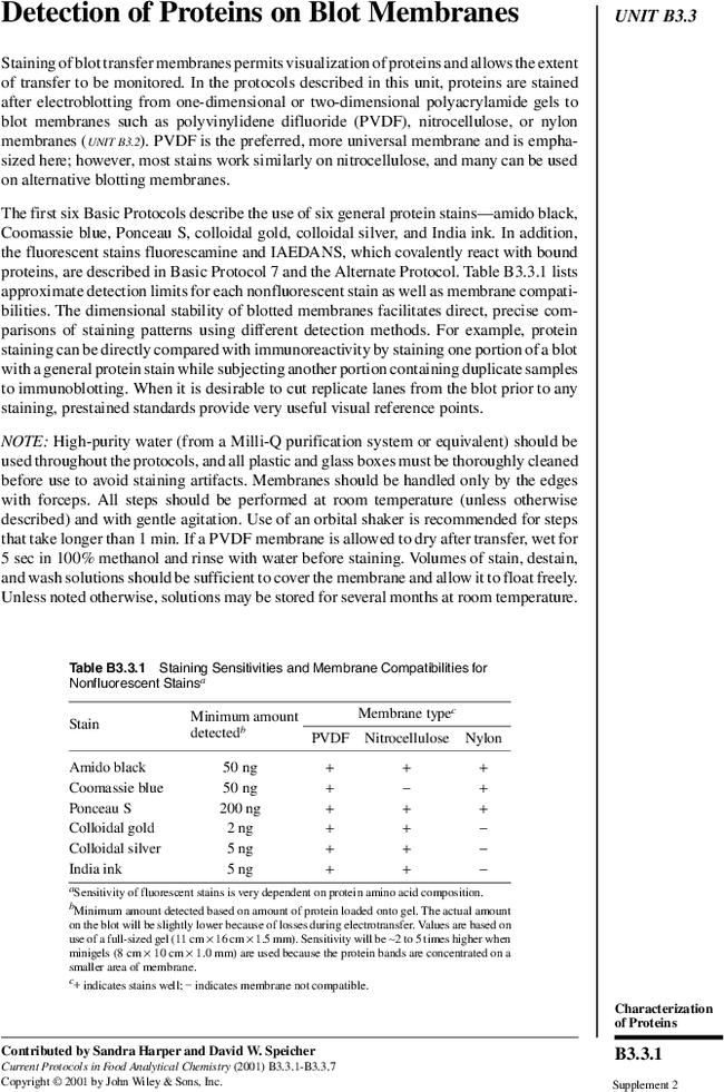 Detection of Proteins on Blot Membranes