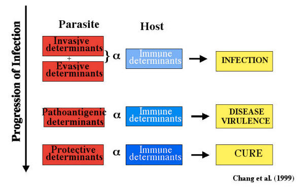 Molecular determinants and regulation of Leishmania virulence.