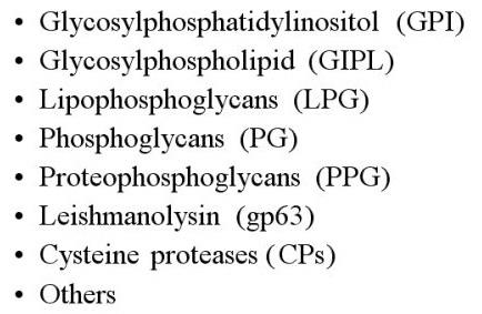 Molecular determinants and regulation of Leishmania virulence.