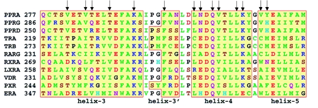 Structural insights into regulation of nuclear receptors by ligands.