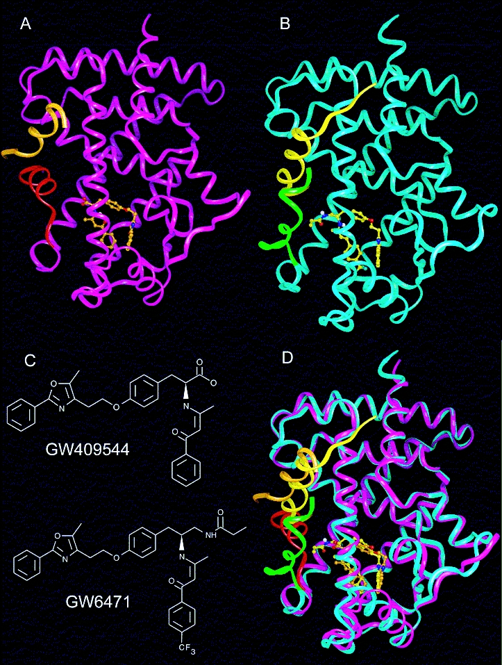 Structural insights into regulation of nuclear receptors by ligands.