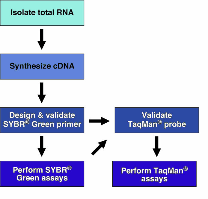 Quantitative real-time PCR protocol for analysis of nuclear receptor signaling pathways.