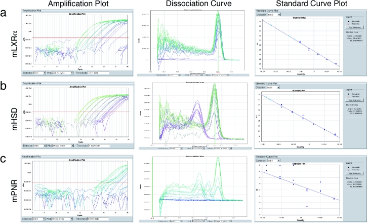 Quantitative real-time PCR protocol for analysis of nuclear receptor signaling pathways.