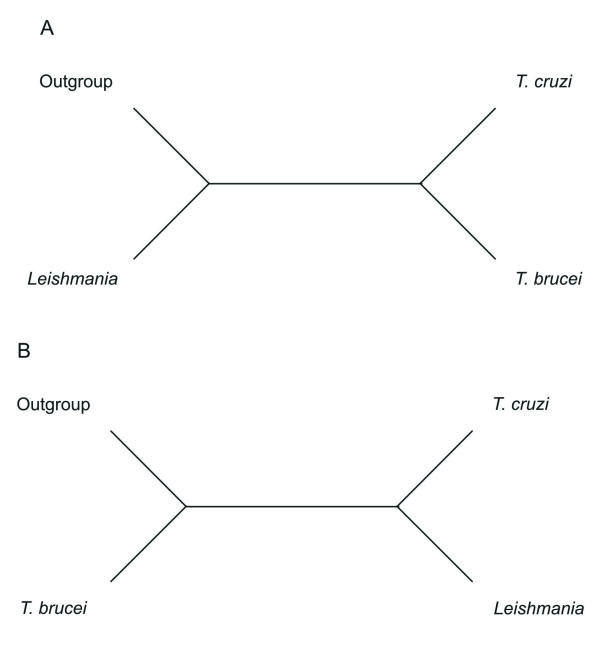 Molecular phylogenetics of Trypanosomatidae: contrasting results from 18S rRNA and protein phylogenies.