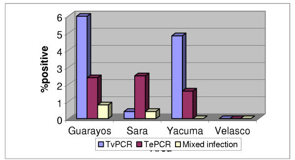 Evaluation of a polymerase chain reaction assay for the diagnosis of bovine trypanosomiasis and epidemiological surveillance in Bolivia.