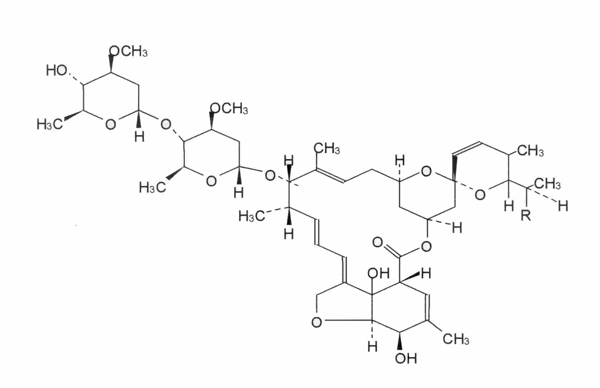 Ivermectin: does P-glycoprotein play a role in neurotoxicity?