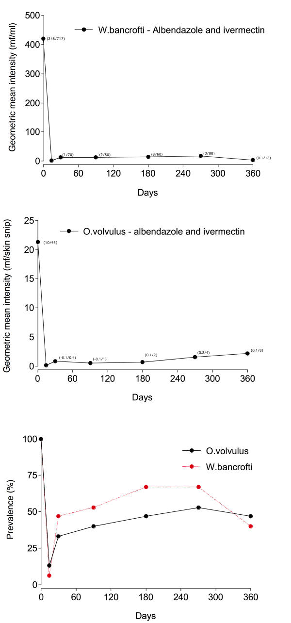 Treatment of co-infection with bancroftian filariasis and onchocerciasis: a safety and efficacy study of albendazole with ivermectin compared to treatment of single infection with bancroftian filariasis.