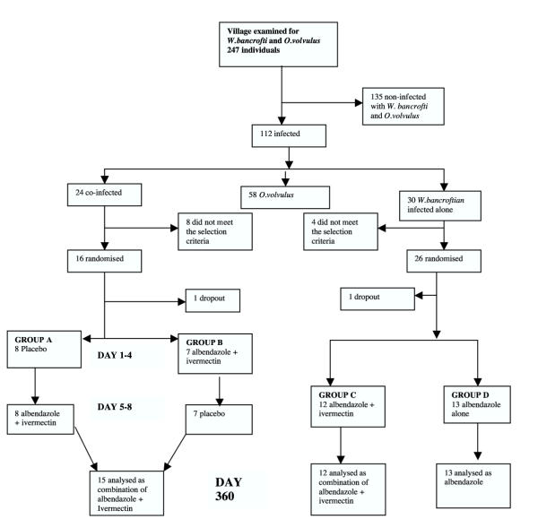 Treatment of co-infection with bancroftian filariasis and onchocerciasis: a safety and efficacy study of albendazole with ivermectin compared to treatment of single infection with bancroftian filariasis.