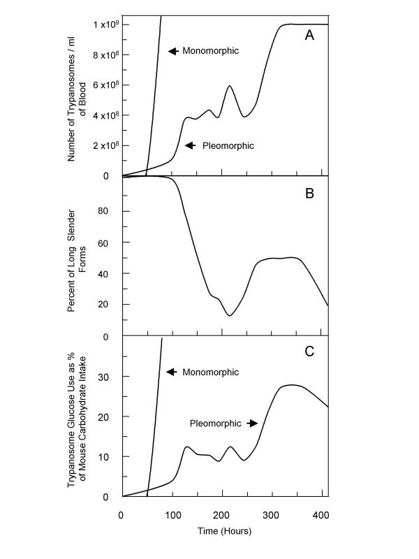 Role of the long slender to short stumpy transition in the life cycle of the african trypanosomes.