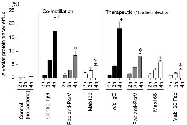 Effects of monoclonal anti-PcrV antibody on Pseudomonas aeruginosa-induced acute lung injury in a rat model.