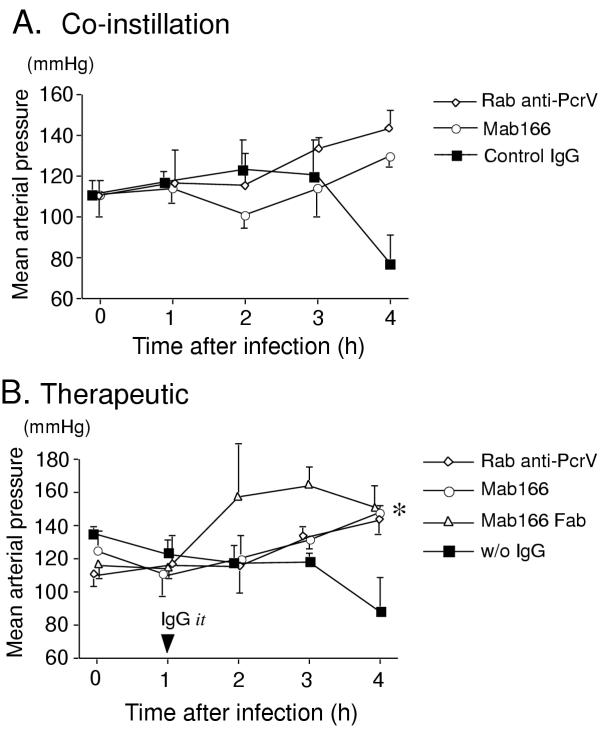 Effects of monoclonal anti-PcrV antibody on Pseudomonas aeruginosa-induced acute lung injury in a rat model.
