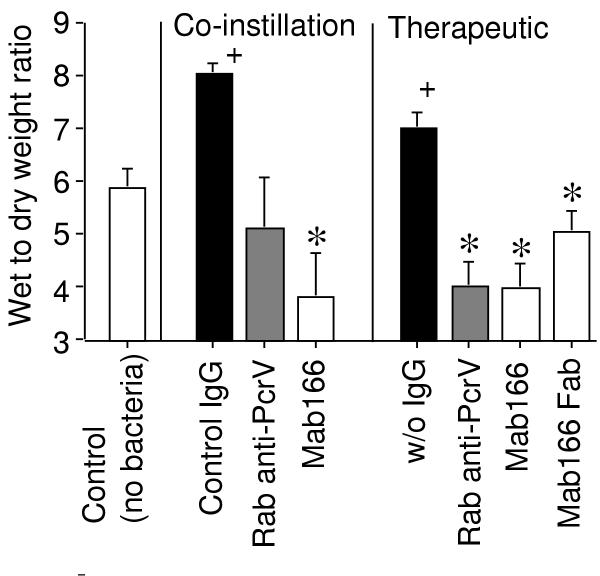Effects of monoclonal anti-PcrV antibody on Pseudomonas aeruginosa-induced acute lung injury in a rat model.