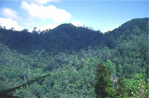 The conservation status of the herpetofauna of Honduras.