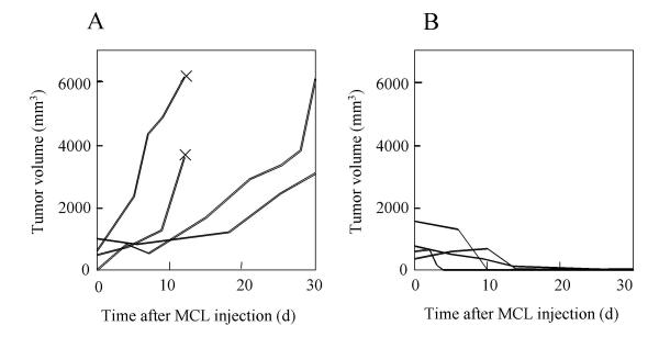 Hyperthermia using magnetite cationic liposomes for hamster osteosarcoma.