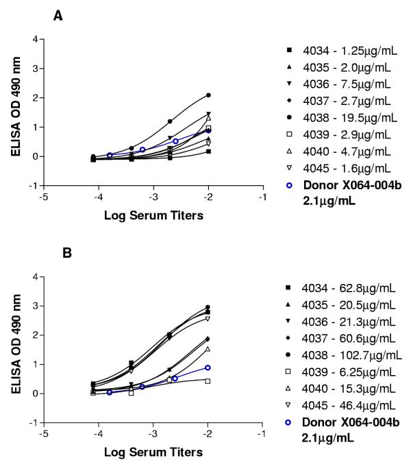 Human anti-anthrax protective antigen neutralizing monoclonal antibodies derived from donors vaccinated with anthrax vaccine adsorbed.