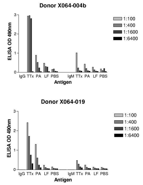 Human anti-anthrax protective antigen neutralizing monoclonal antibodies derived from donors vaccinated with anthrax vaccine adsorbed.