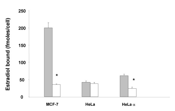 Binding of estrogen receptor with estrogen conjugated to bovine serum albumin (BSA).