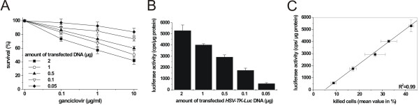 A dual function fusion protein of Herpes simplex virus type 1 thymidine kinase and firefly luciferase for noninvasive in vivo imaging of gene therapy in malignant glioma.