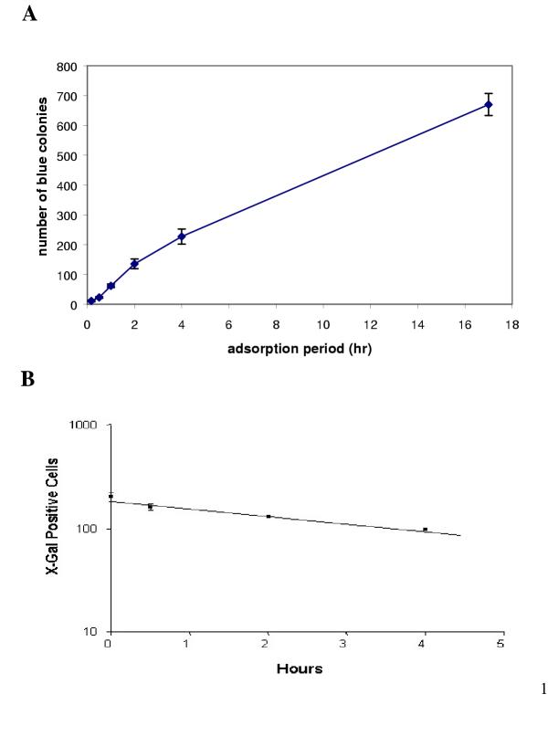 The significance of controlled conditions in lentiviral vector titration and in the use of multiplicity of infection (MOI) for predicting gene transfer events.