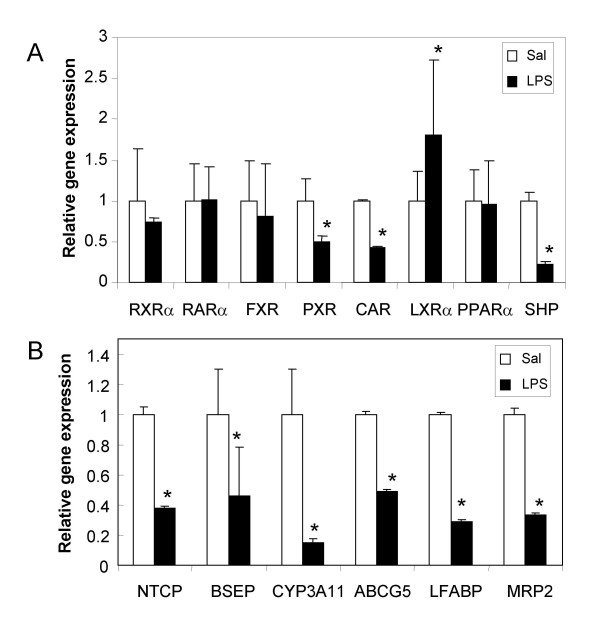 Endotoxin leads to rapid subcellular re-localization of hepatic RXRalpha: A novel mechanism for reduced hepatic gene expression in inflammation.