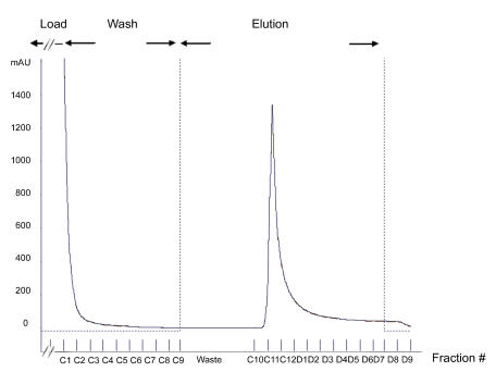 Single-step purification of full-length human androgen receptor.