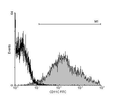 Adoptive transfer of dendritic cells modulates immunogenesis and tolerogenesis in a neonatal model of murine cutaneous leishmaniasis.