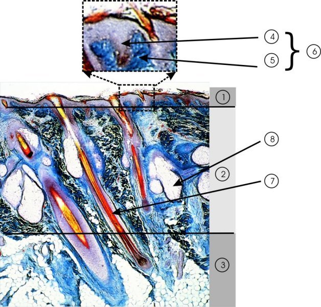 Abstract Image
