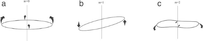 Large-Scale Dynamics of the Convection Zone and Tachocline