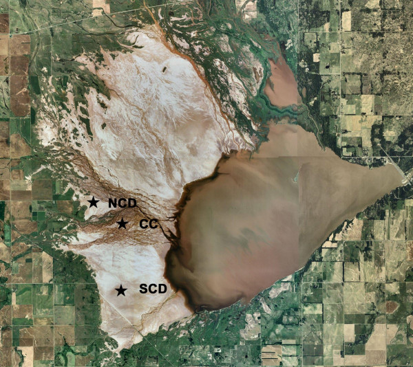 In situ studies of algal biomass in relation to physicochemical characteristics of the Salt Plains National Wildlife Refuge, Oklahoma, USA.