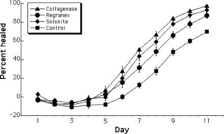 Collagenase promotes the cellular responses to injury and wound healing in vivo.